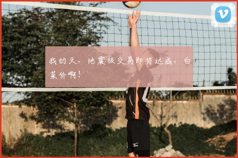 我的天,地震级交易即将达成,白菜价啊!