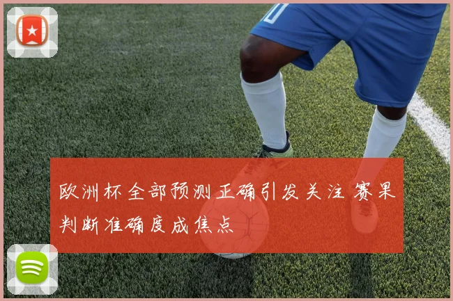 欧洲杯全部预测正确引发关注 赛果判断准确度成焦点