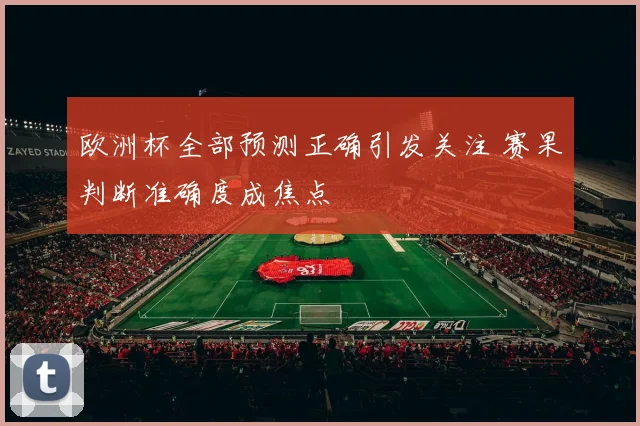 欧洲杯全部预测正确引发关注 赛果判断准确度成焦点